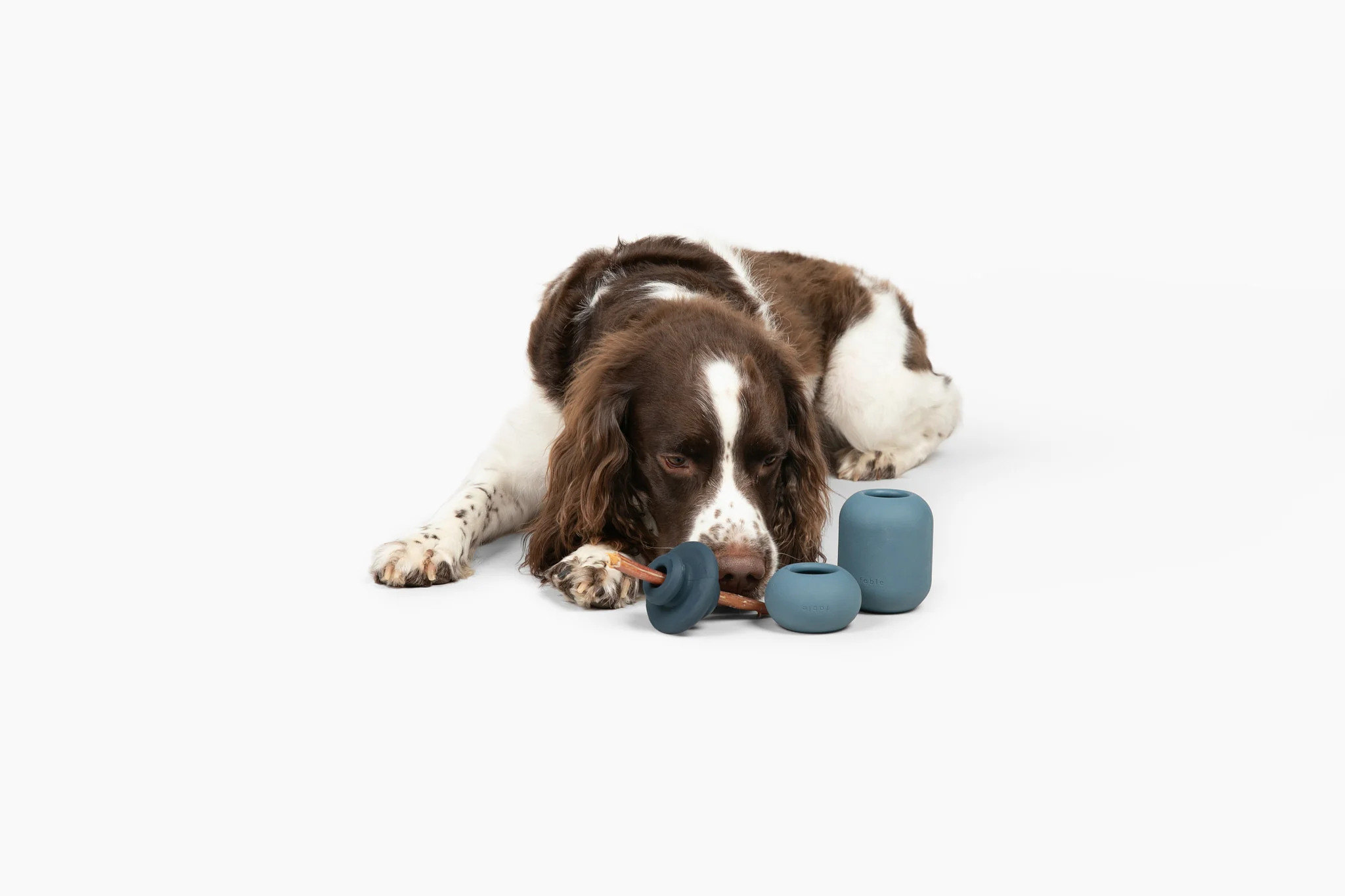 Bully Sticks (4-pack) - Image 4