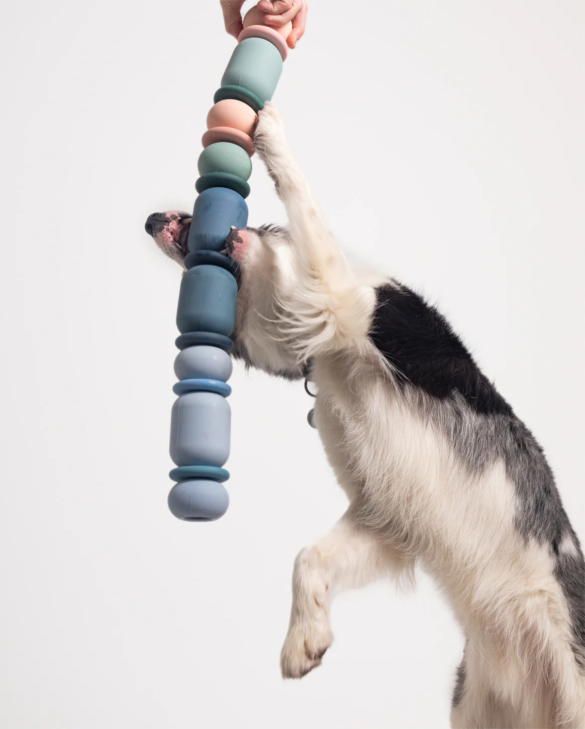 Bully Stick Set - Image 5