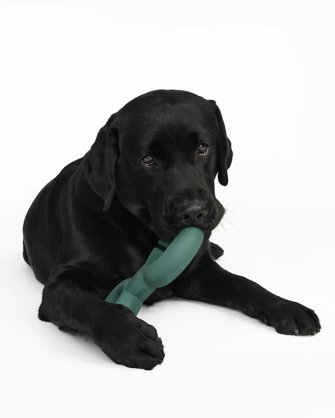 Twin Falcon Toy - Image 6